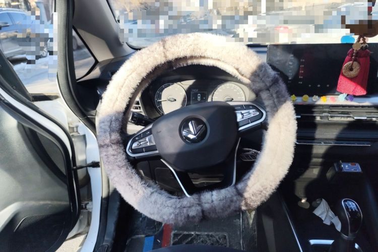 Used Livan X3 PRO 2022 1.5L Manual Little Cutie Steering Wheel