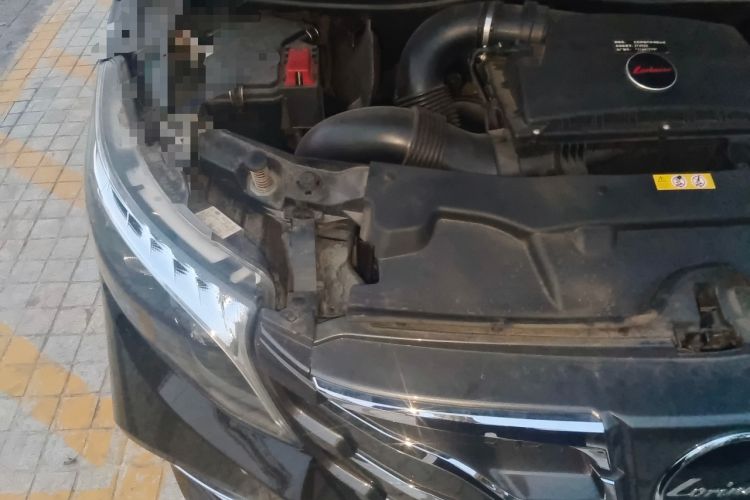 Used Lorinser LS Series 2023 LS570MX Tianzhou Engine Bay Right