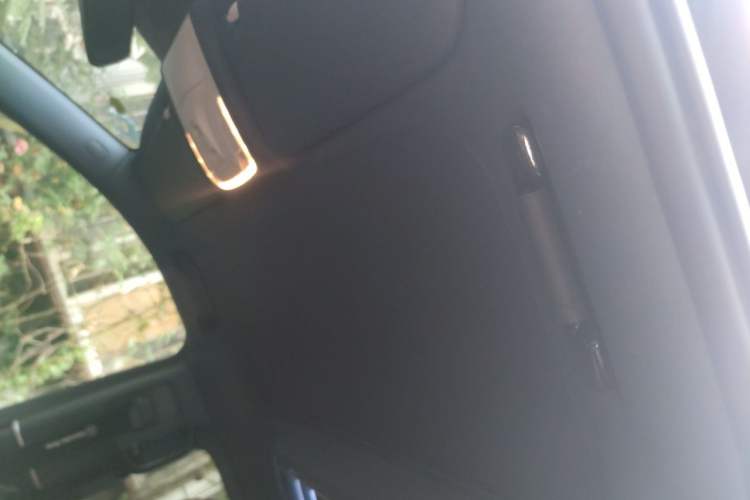 Used Lorinser LS Series 2020 LS560MX SKABINE Skyline Headliner