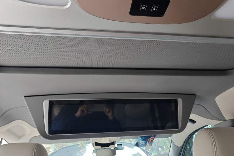 Used Lorinser MS500L 2020 MS500L Headliner