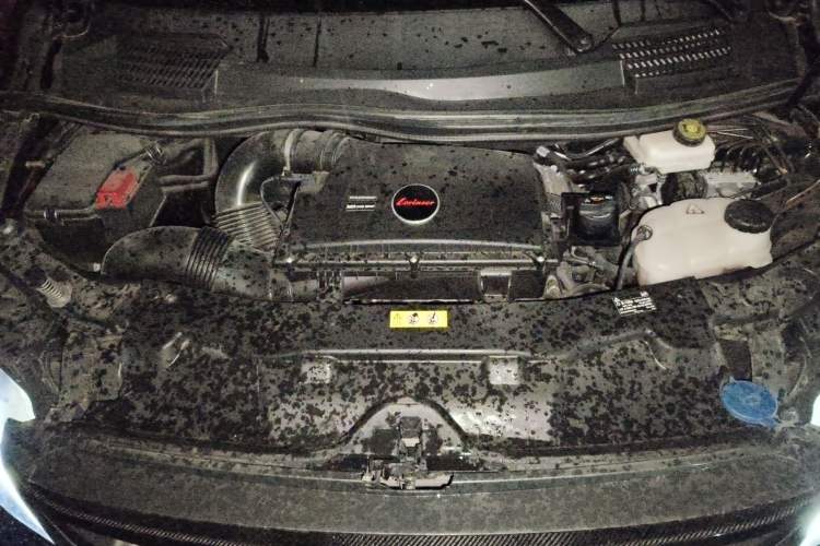 Used Lorinser VS Series 2024 VS560MX Tianyu Travel Edition Engine Bay