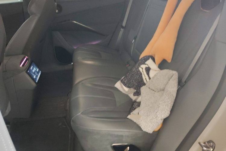 Used Lotus ELETRE 2023 ELETRE S+ Left Rear Seat