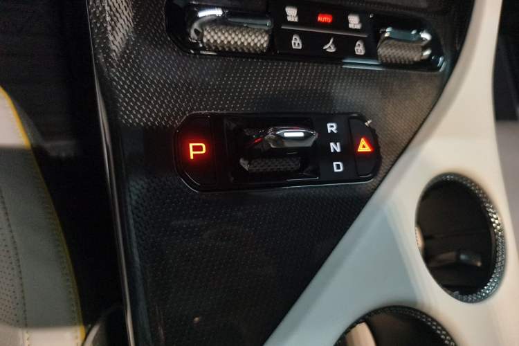 Used Lotus ELETRE 2023 ELETRE R+ Gear Lever