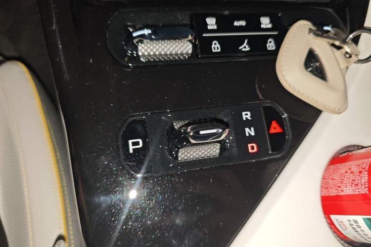 Used Lotus ELETRE 2023 ELETRE S+ Gear Lever