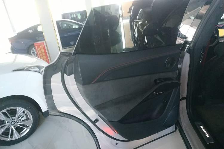 Used Lotus ELETRE 2023 ELETRE S+ Left Rear Door Interior
