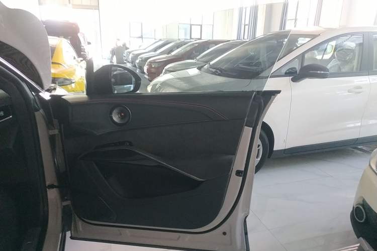Used Lotus ELETRE 2023 ELETRE S+ Right Front Door Interior