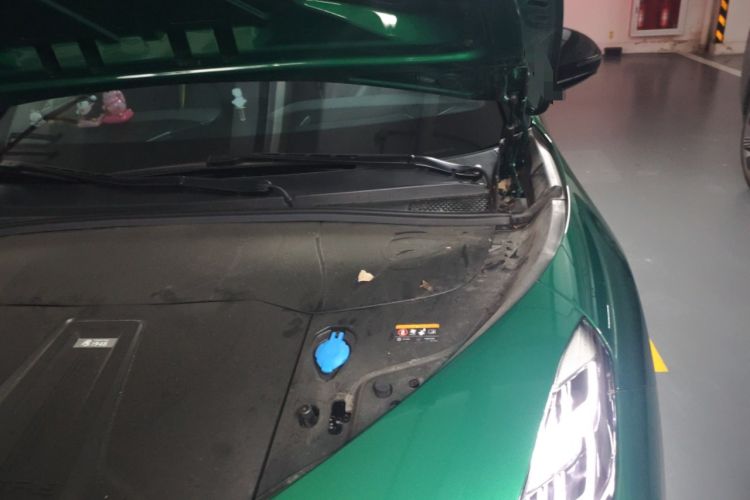 Used Lotus ELETRE 2024 ELETRE L+ Engine Bay Left