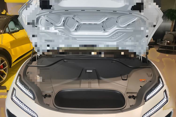 Used Lotus EMEYA 2025 600 Touring Edition Engine Bay