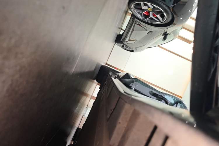 Used Lotus EMEYA 2024 EMEYA S+ Right Side Sill