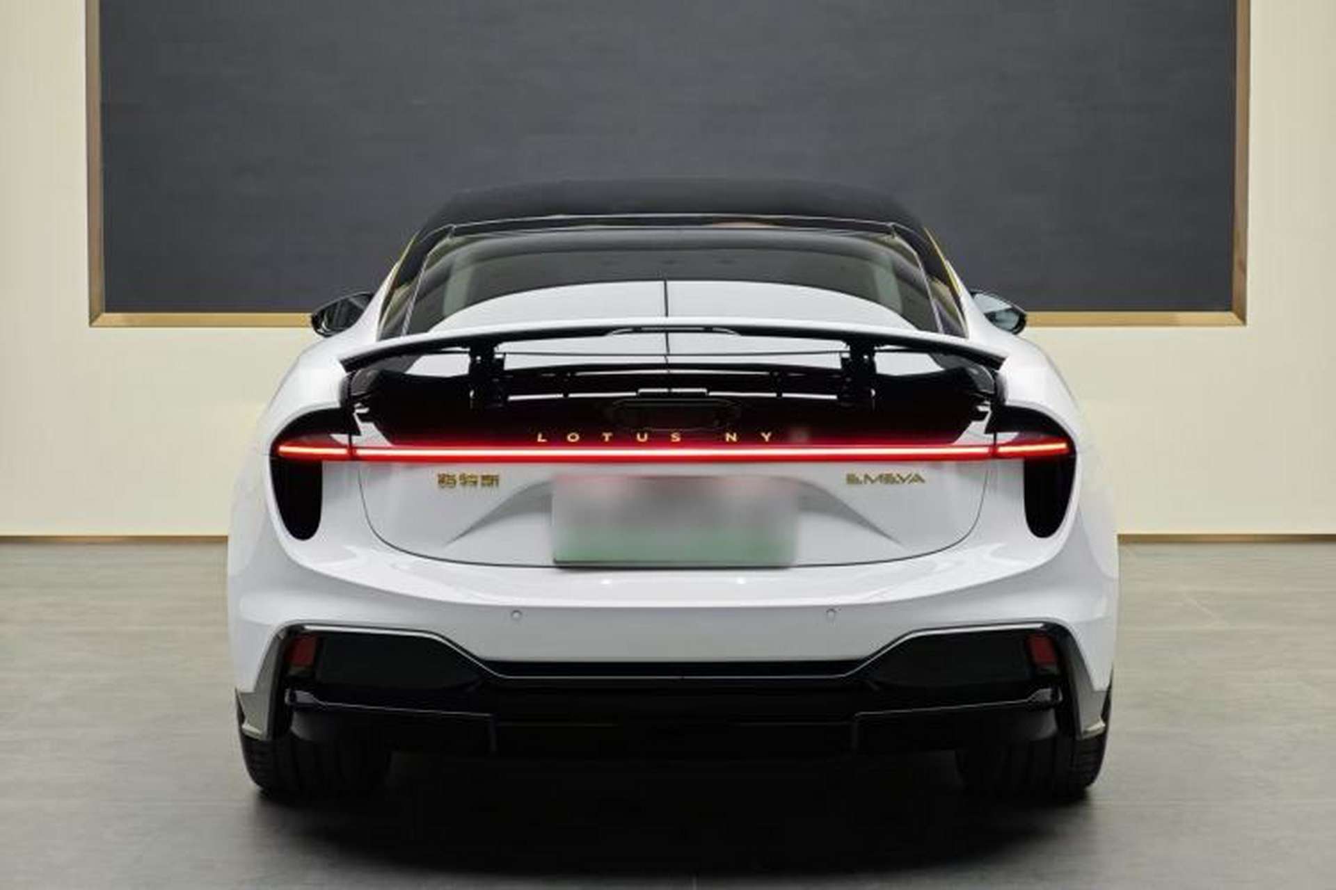 Used Lotus EMEYA 2024 EMEYA L+ Platinum Edition Exterior 5