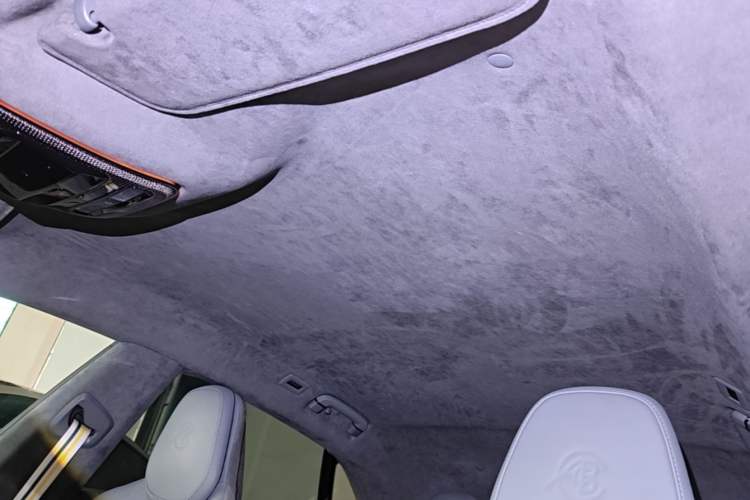 Used Lotus EMEYA 2024 EMEYA L+ Headliner
