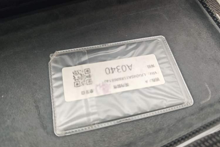 Used Lotus EMEYA 2024 EMEYA L+ Interior 1