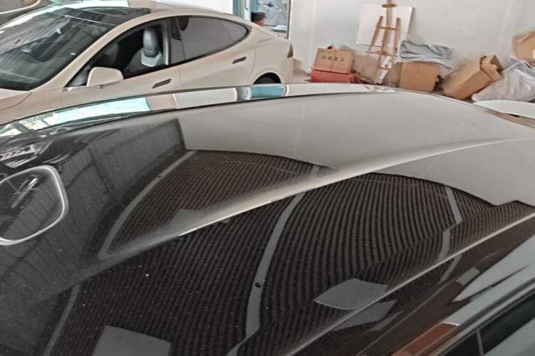 Used Lotus EMEYA 2024 EMEYA L+ Roof