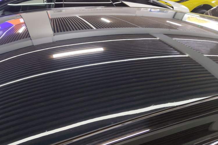 Used Lotus EMEYA 2024 EMEYA S+ Roof