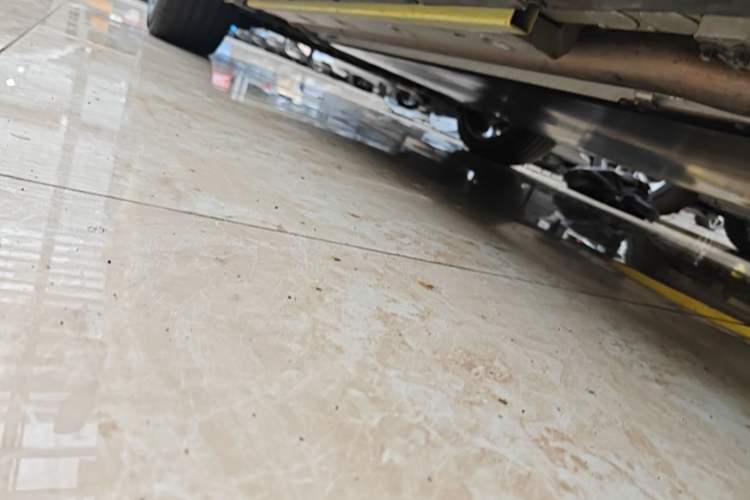 Used Lotus FOR ME 2026 Model For Me Left Side Sill