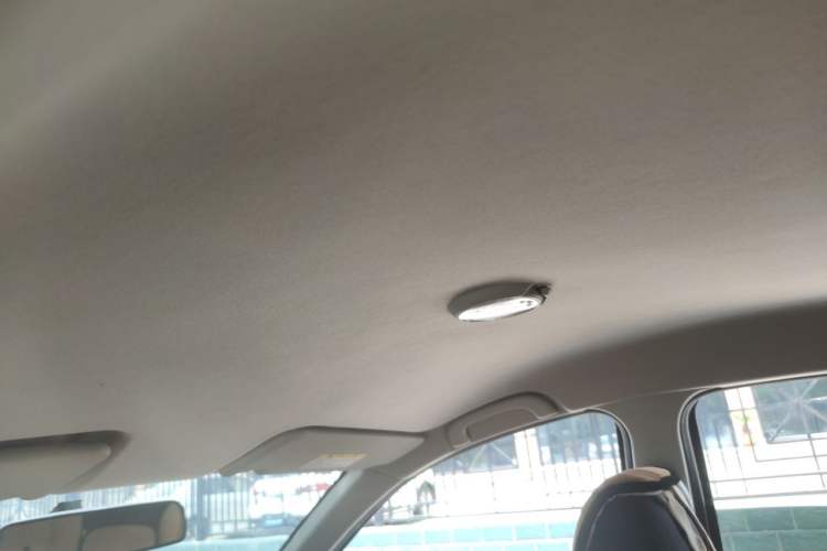 Used Lotus Joy 2009 1.6L Automatic Fashion Edition Headliner