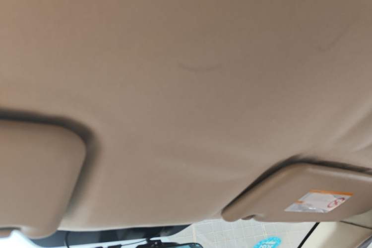 Used Lotus L3 2013 Hatchback 1.5L Manual Elite Model Headliner