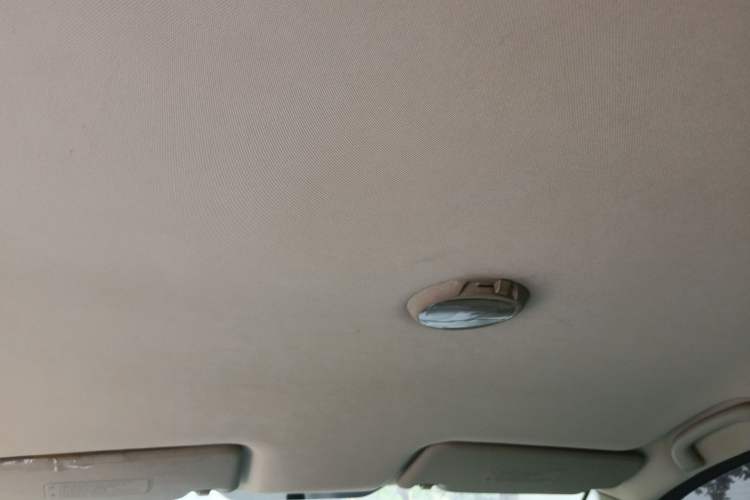 Used Lotus L3 2013 GT 1.6L Manual Deluxe Model Headliner