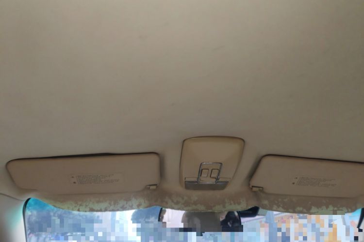 Used Lotus L5 2011 Sedan 1.6L Automatic Fashion Edition Headliner