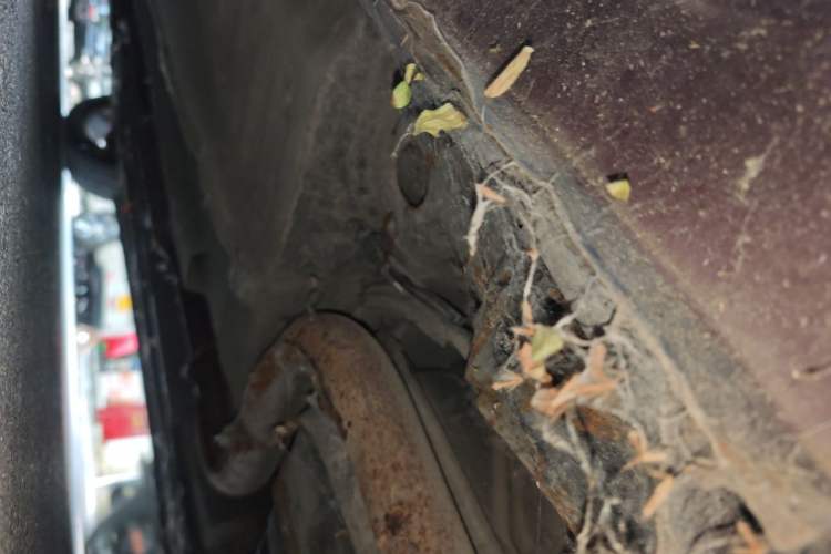 Used Lotus L5 2011 Sedan 1.6L Automatic Fashion Edition Chassis Rear Left