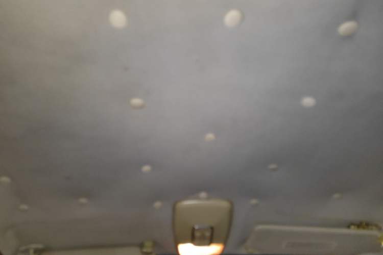 Used Lotus L5 2011 Sedan 1.6L Manual Fashion Edition Headliner