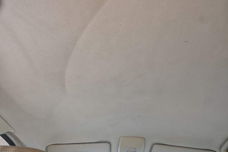 Used Lotus L5 2012 Sportback 1.8L Automatic Trend Edition Headliner