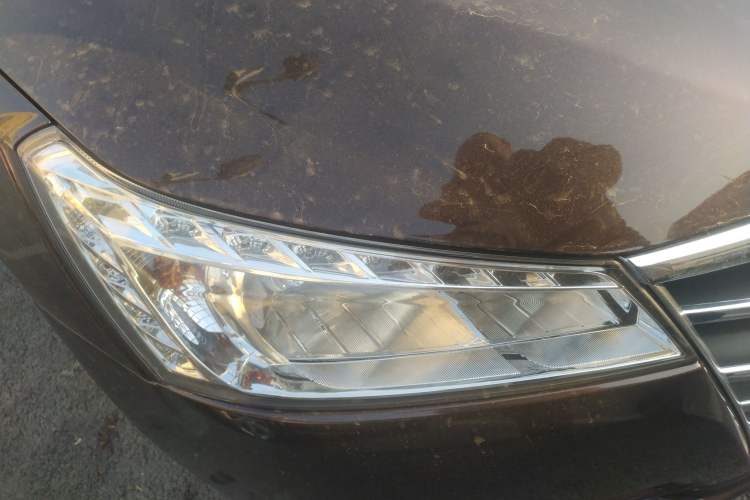 Used Luxgen 5 2014 Dance Limited Edition 1.8T Automatic Luxury Version Right Front Headlight