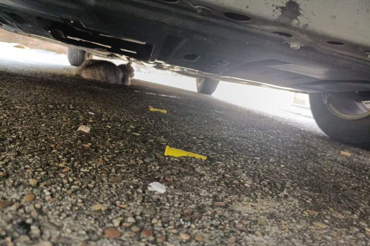 Used Luxgen 5 2015 1.8T Automatic ZhiZun Model Chassis Front