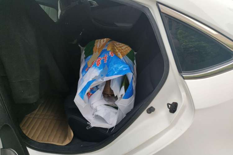 Used Luxgen 5 2015 1.8T Automatic Smart Model Left Rear Seat