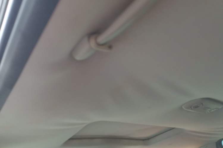 Used Luxgen Great 7 SUV 2014 2.2T Two-Wheel-Drive Smart Version Headliner