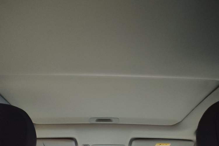 Used Luxgen S3 2016 1.6L CVT Flagship Edition Headliner