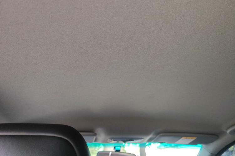 Used Luxgen U5 EV 2018 360 Elite Edition Headliner