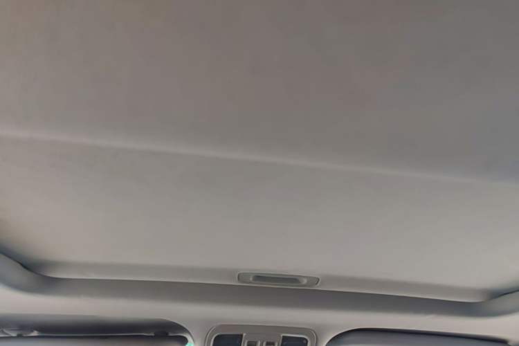 Used Luxgen U6 SUV 2014 1.8T Fashion Edition Headliner