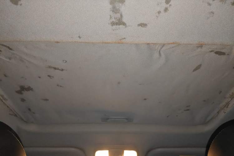 Used Luxgen U6 SUV 2014 1.8T Fashion Edition Headliner