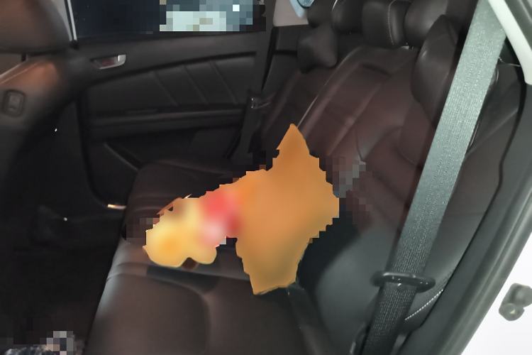Used Luxgen U6 SUV 2014 2.0T ZhiZun Model Left Rear Seat