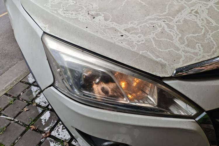 Used Luxgen U6 SUV 2014 2.0T ZhiZun Model Right Front Headlight