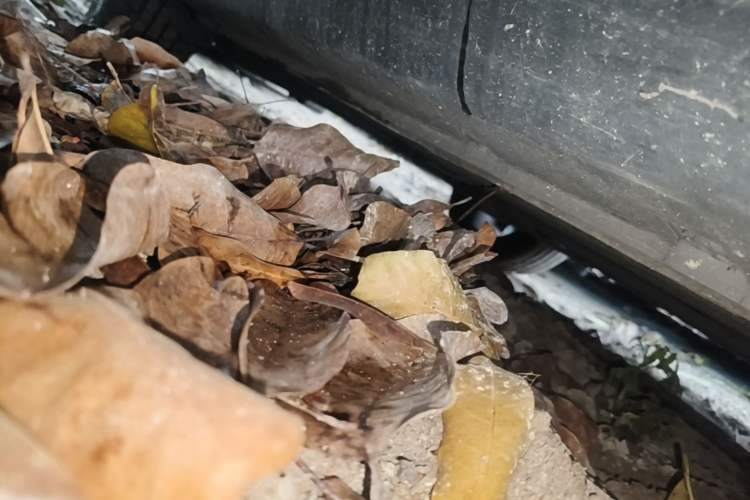 Used Luxgen U6 SUV 2015 1.8T ZhiZun Model Right Side Sill