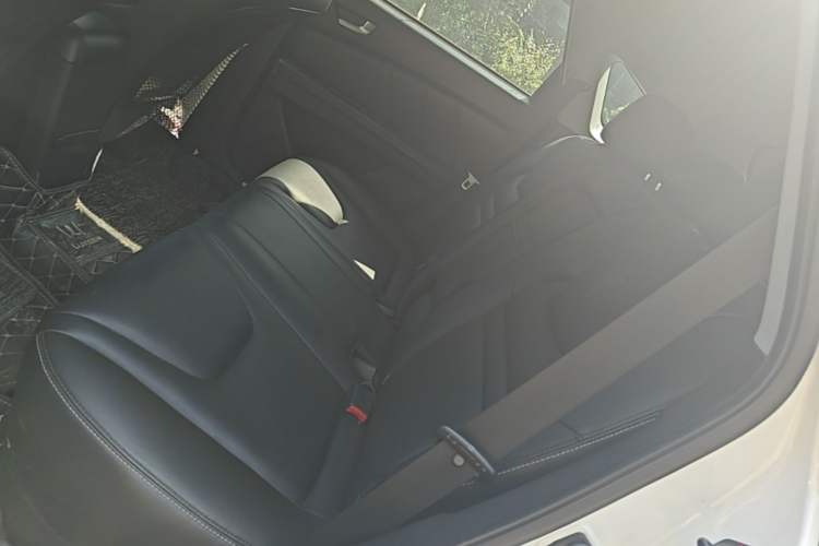 Used Luxgen U6 SUV 2015 1.8T Fashion Edition Left Rear Seat