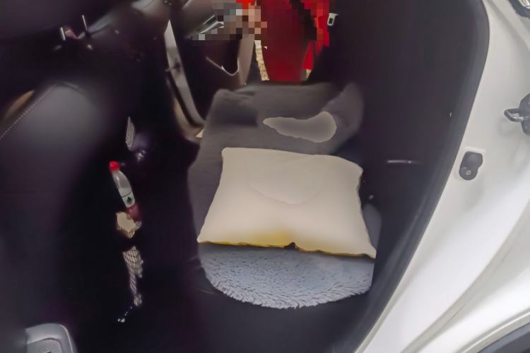 Used Luxgen U6 SUV 2015 1.8T Fashion Edition Left Rear Seat