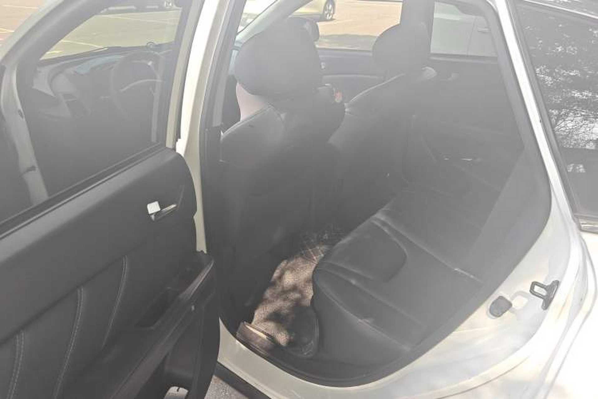 Used Luxgen U6 SUV 2016 1.8T Style Value Model Left Rear Seat