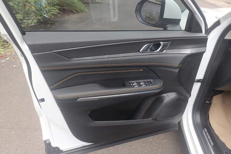 Used Lynk & Co 01 2023 2.0TD Two-Wheel Drive Asian Games Edition Left Front Door Interior