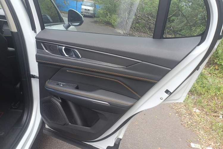 Used Lynk & Co 01 2023 2.0TD Two-Wheel Drive Asian Games Edition Right Rear Door Interior