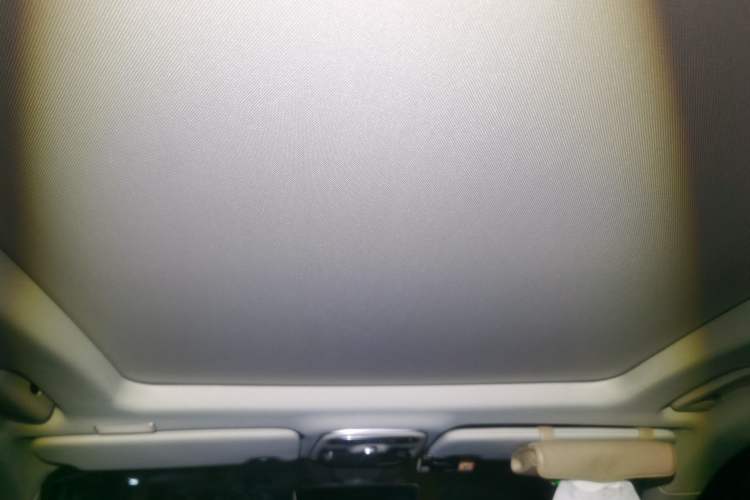 Used Lynk & Co 01 2017 2.0T Four-Wheel Drive Pro Edition Headliner