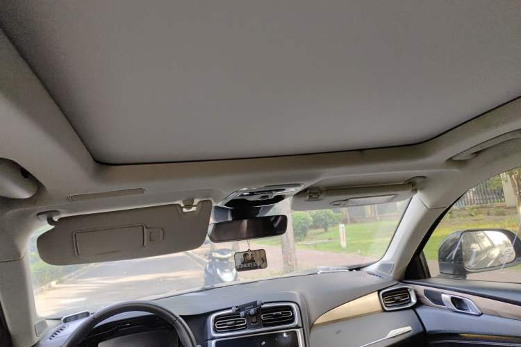 Used Lynk & Co 01 2017 2.0T Two-Wheel Drive Pro Edition Headliner