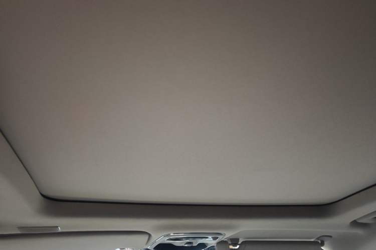 Used Lynk & Co 01 2017 2.0T Two-Wheel Drive Pro Edition Headliner