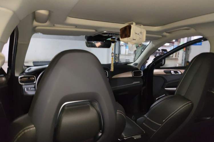 Used Lynk & Co 01 2017 2.0T Two-Wheel Drive Pro Edition Headliner