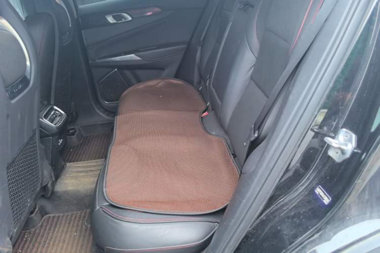 Used Lynk & Co 01 2017 2.0T Four-Wheel Drive Pro Edition Left Rear Seat