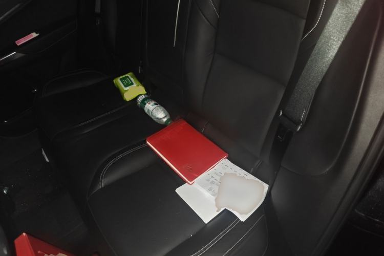 Used Lynk & Co 01 2017 2.0T Two-Wheel Drive Pro Edition Left Rear Seat