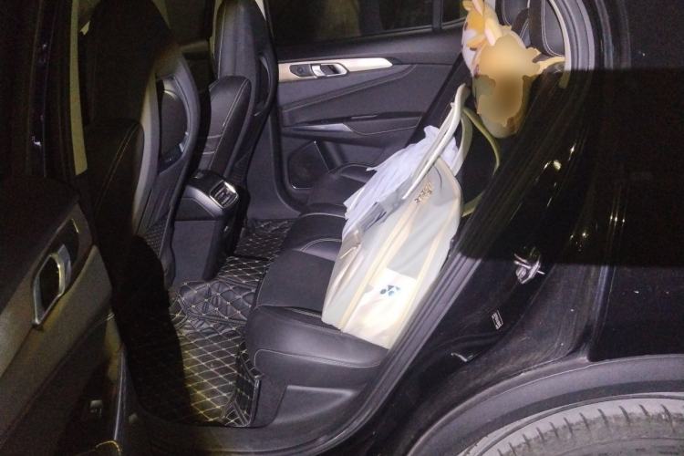 Used Lynk & Co 01 2017 2.0T Two-Wheel Drive Pro Edition Left Rear Seat