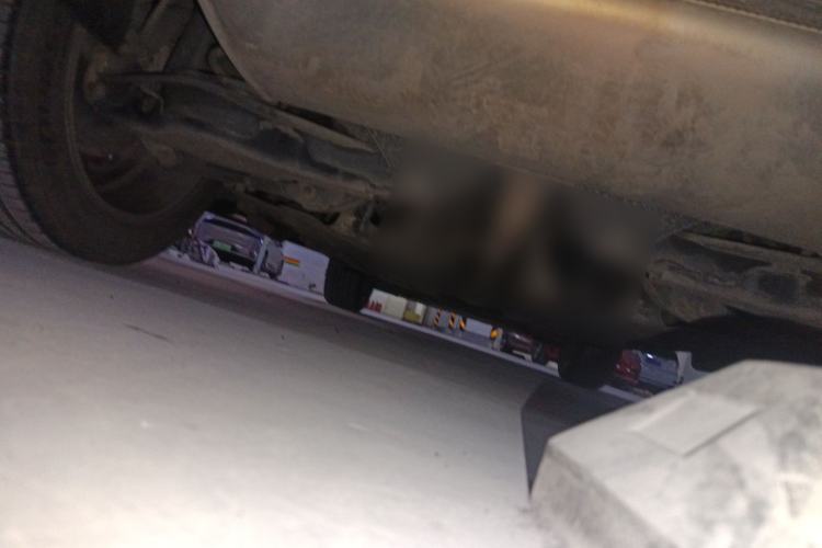 Used Lynk & Co 01 2017 2.0T Two-Wheel Drive Pro Edition Chassis Rear